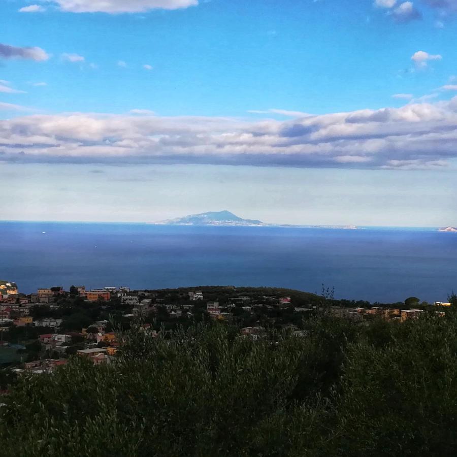 La Mandra, Cottage Tra Gli Ulivi Vico Equense Zewnętrze zdjęcie