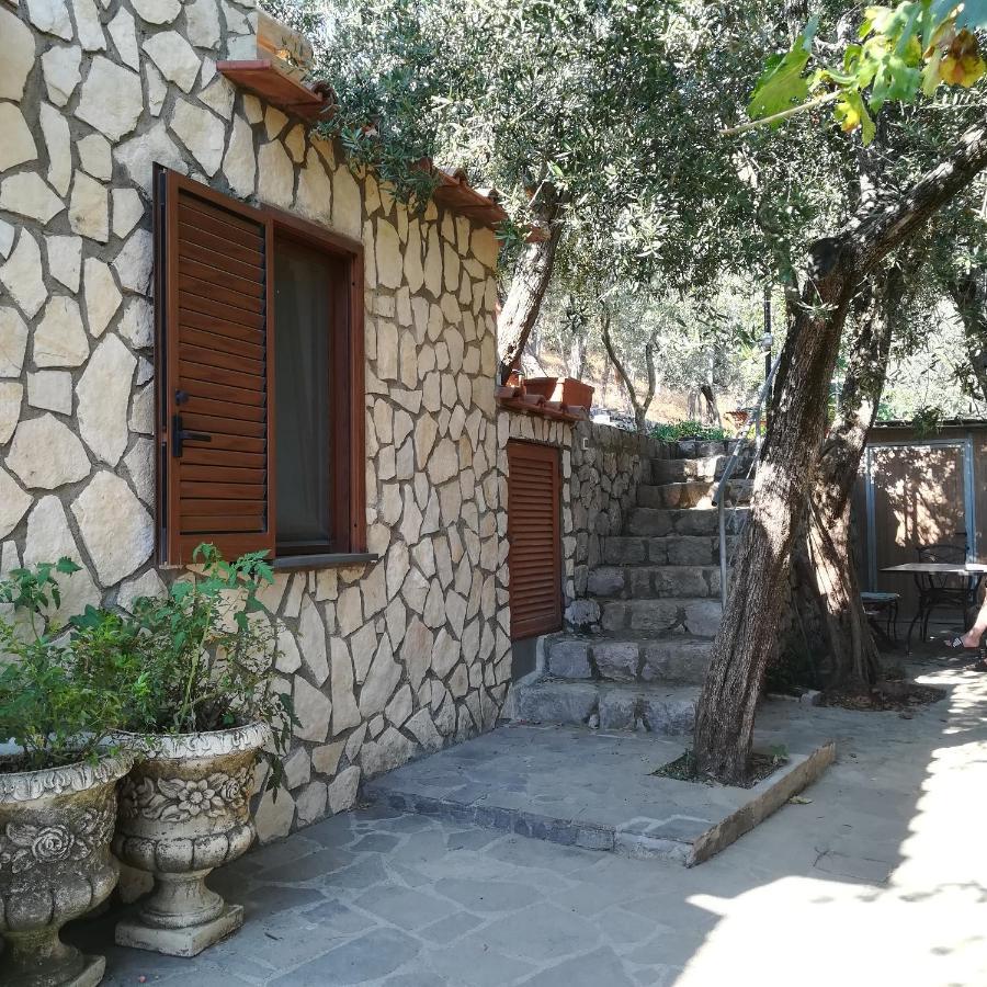 La Mandra, Cottage Tra Gli Ulivi Vico Equense Zewnętrze zdjęcie