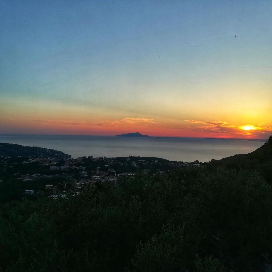 La Mandra, Cottage Tra Gli Ulivi Vico Equense Zewnętrze zdjęcie