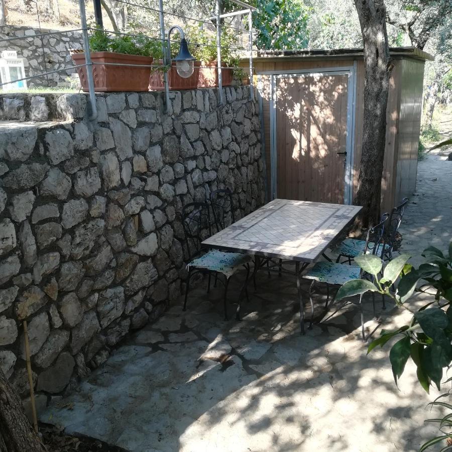 La Mandra, Cottage Tra Gli Ulivi Vico Equense Zewnętrze zdjęcie